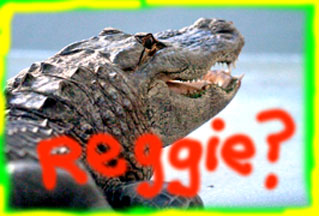 reggie-at-the-zoo2.jpg