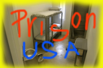 prison-usa.gif