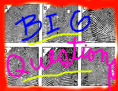 fingerprints-3.jpg