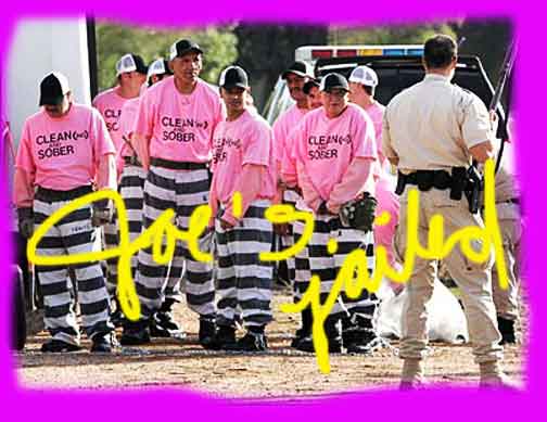 sheriff-arpaio-prisoners-pinkshirts
