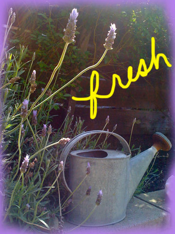 Fresh-Picks-watering-can
