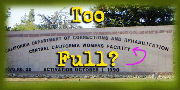 Two Many Women The Hidden Overcrowding In Californias Prisons By Matthew Fleischer 